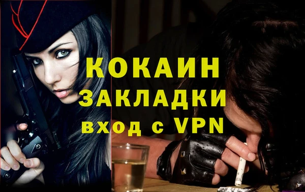 прущие грибы Анжеро-Судженск