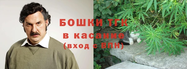 соль ск Медногорск