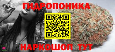 стаф Коммунар