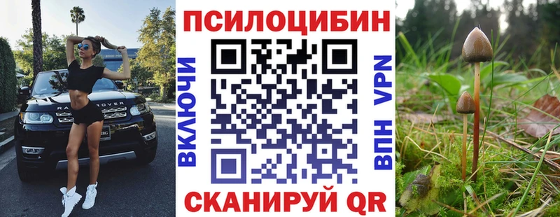 Псилоцибиновые грибы мицелий  Тихвин 