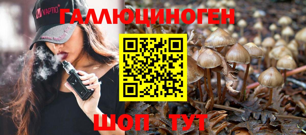 Галлюциногенные грибы ЛСД Тихвин
